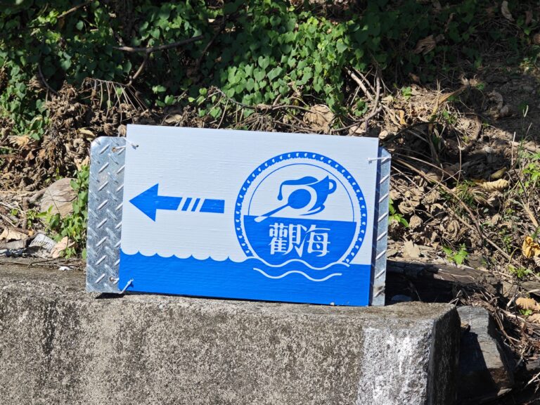 IMG_20241126_101948 (4)